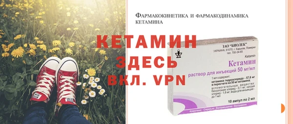 индика Алексин