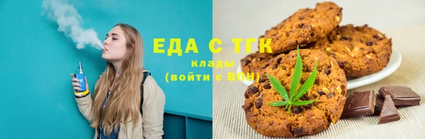 индика Алексин