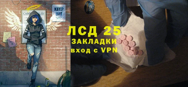 индика Алексин