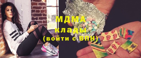 индика Алексин