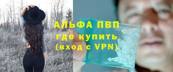 индика Алексин